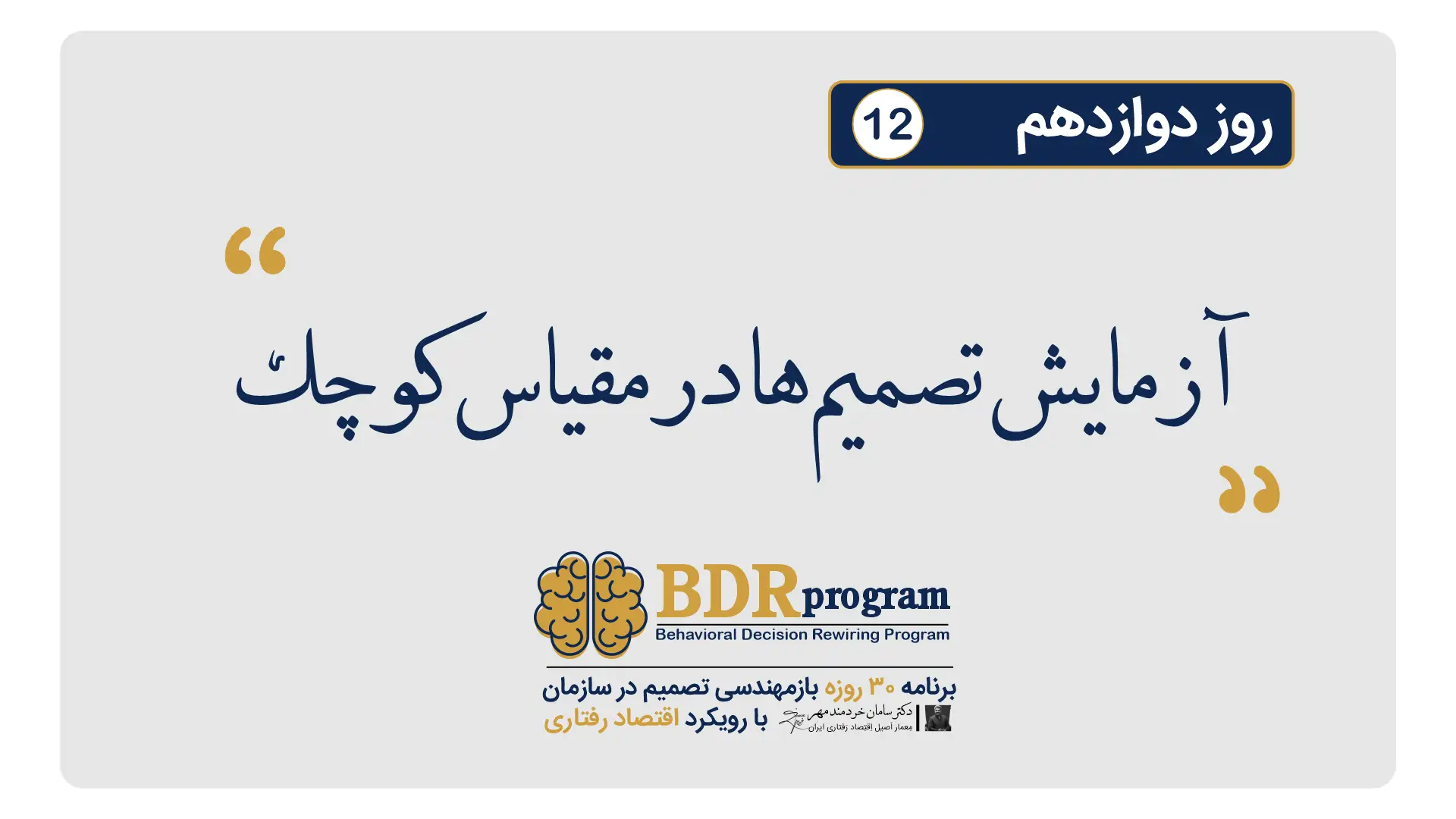 آزمایش تصمیم‌ها در مقیاس کوچک